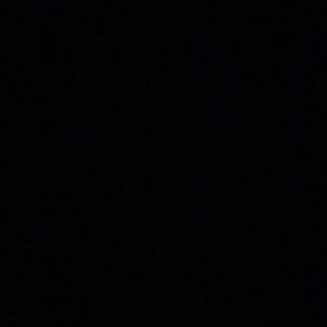 Meet your Posher, Lexy